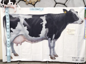 等身大の牛タペストリー